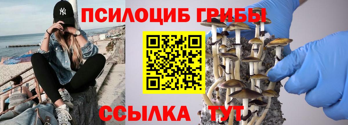 Галлюциногенные грибы ЛСД Камышин