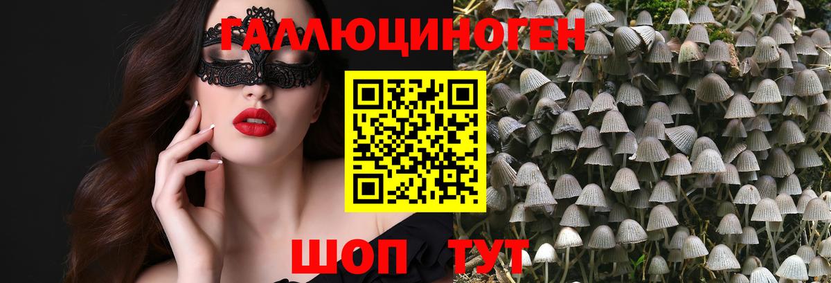 Псилоцибиновые грибы Psilocybine cubensis  Галлюциногенные грибы GOLDEN TEACHER  Вход с VPN  Камышин 